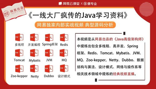 《Java葵花寶典》與檔案服務(wù)外包 技術(shù)沉淀與業(yè)務(wù)拓展的雙贏(yíng)之道